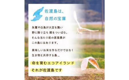 佐渡島産 ゆきん子舞 白米10kg(5Kg×2袋)【令和5年産】