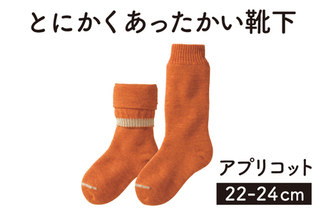 靴下 「とにかくあったかい靴下 女性用（22～24cm）」【アプリコット】くつ下 くつした 室内用靴下 レディース 山忠