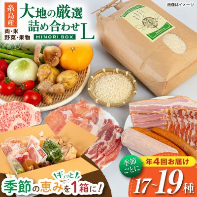 ふるさと納税 糸島市 【全4回定期便令和7年産新米】糸島産 肉 米 野菜 果物 厳選詰め合わせ Lサイズ [AOP003]