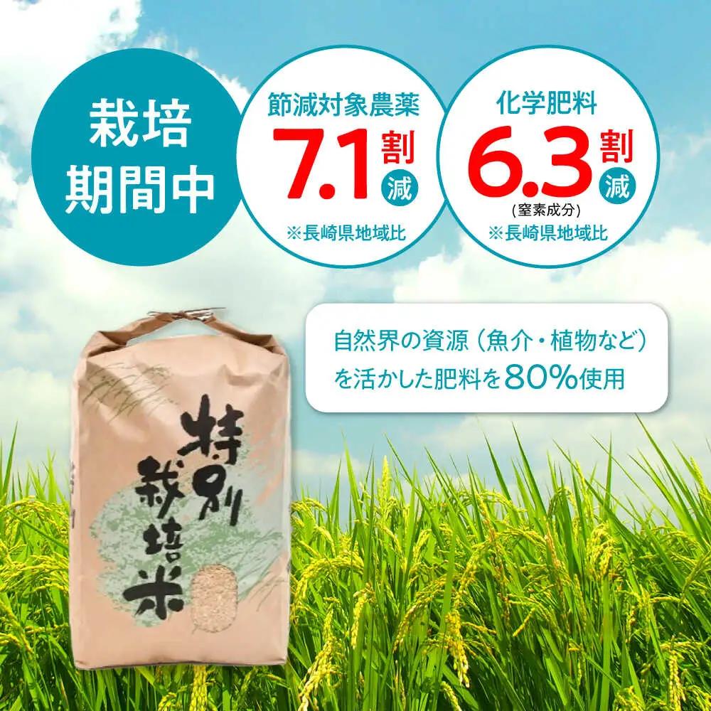 【R7年産】九州のこだわり「にこまる」玄米 5kg / 米 こめ お米 おこめ 玄米 げんまい にこまる ニコマル 長崎県産 / 諫早市 / 上島農産[AHAS013]