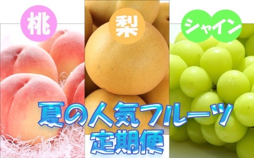 定期便全3回 【7月・8月・9月発送】 和歌山の夏の人気フルーツをお届け（桃・梨・シャイン）