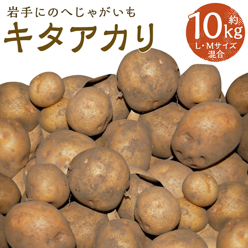 【ふるさと納税】厳選品 岩手にのへじゃがいも「伝」 キタアカリ 約10kg L・Mサイズ混合 じゃがいも 芋 じゃが芋 野菜 二戸市産 岩手県産 国産 送料無料【2025年9月中旬～2026年2月下旬に順次発送予定】