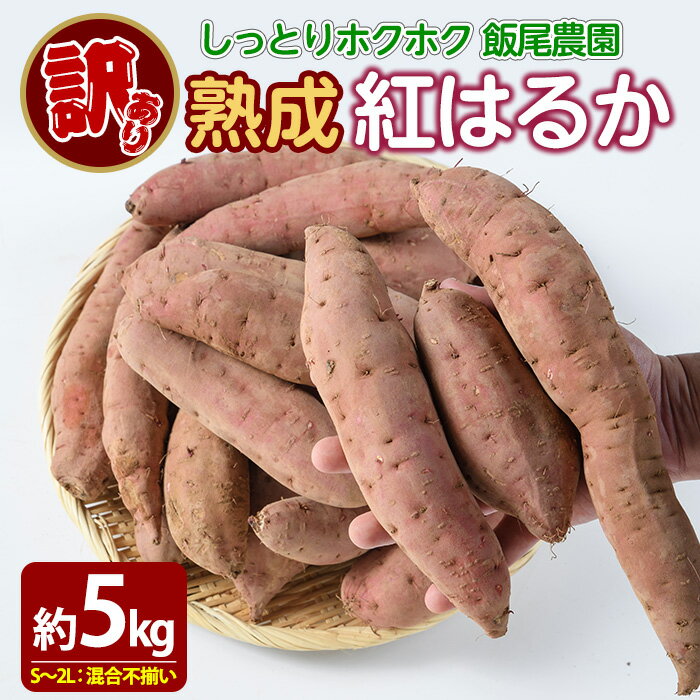 【ふるさと納税】《訳あり》飯尾農園 熟成 紅はるか 約5kg 芋 いも さつまいも サツマイモ 鹿児島県産 国産 長島町産 べにはるか 熟成【飯尾農園】miio-7233