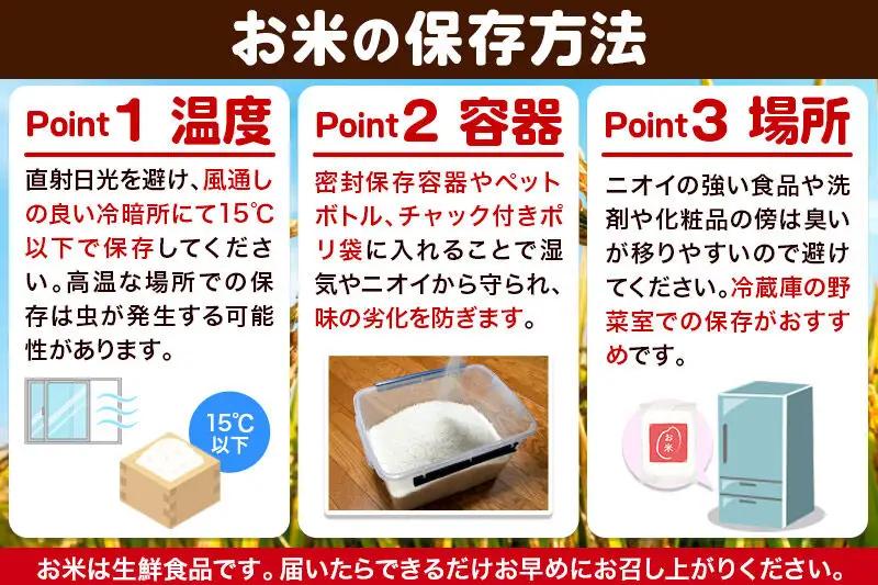 【玄米】令和7年産 真田のコシヒカリ小松姫 プレミアム 20kg（5kg×4袋）金井農園