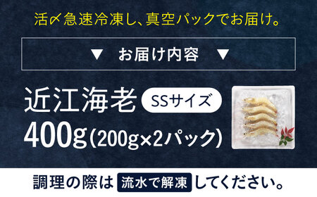 近江海老 400g(SSサイズ)[AQBA004]えびえびえびえびえびえび