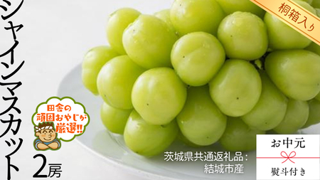 【 お中元 熨斗 付 】【 桐箱入り 】 シャインマスカット2房 【2026年8月より発送開始】（茨城県共通返礼品 [ぶどう]：結城市産）