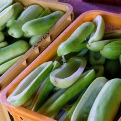 ふるさと納税 小郡市 無添加 特製 奈良漬け 約200g×4〜5枚 酒蔵の酒粕漬け[No5354-0206] |  | 03