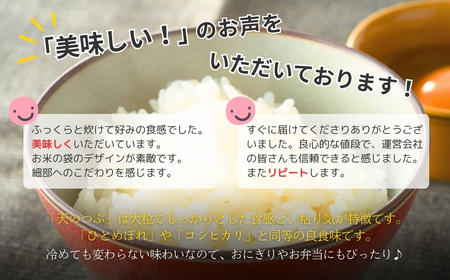 福島県南相馬産「天のつぶ」ふっくらパックごはん150g×24パック　パックライス【04003】