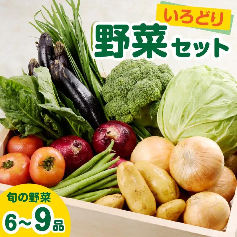 いろどり野菜セット ／ 旬 野菜 【A049】