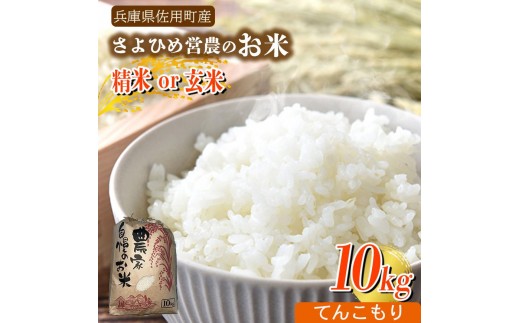 【兵庫県佐用町産】さよひめ営農のお米 10kg てんこもり/玄米