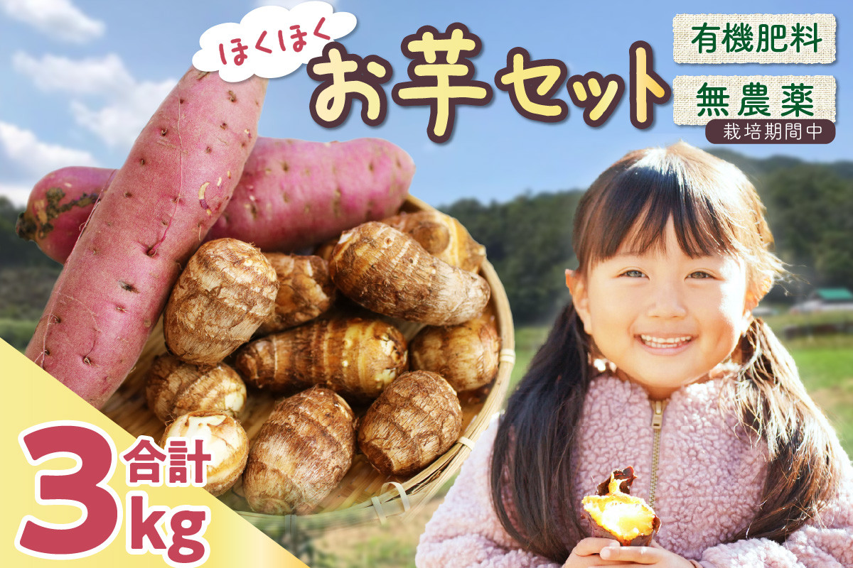 
【先行予約/数量限定100】農家直送　里芋＆さつまいも　ホクホクお芋セット　野菜 新鮮 お芋 セット デザート サツマイモ サトイモ さといも 栽培期間中 無農薬 有機肥料 紅はるか べにはるか しっとり 甘い 芋煮 大学芋 いも 芋 イモ oimo おいも　SJ00005
