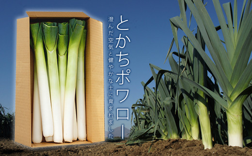 〔先行受付〕「たけなかファーム」とかちポワロー（リーキ、ポロネギ）【A50】《2025年11月上旬より順次発送》