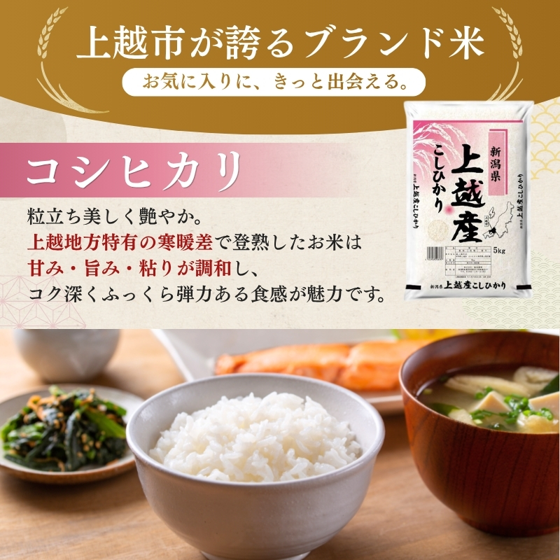【8月下旬より配送】農家応援! コシヒカリ 5kg  3か月定期便 緊急価格改定 新潟県 上越市産 令和7年産 お米 精米 米 ご飯 送料無料