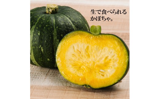 季節のおすすめ野菜おまかせ詰め合わせ12ヵ月定期便 8種～12種類