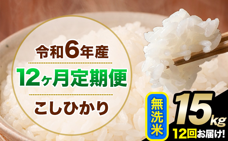 【12ヶ月定期便】令和6年産 定期便 こしひかり 無洗米 定期便 15kg 精米 熊本県産(南阿蘇村産含む) 単一原料米 南阿蘇村《申込み翌月から発送》---kh6tei_528000_15kg_mo12_mna_m---st-p