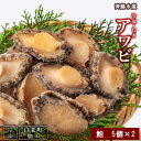 【ふるさと納税】冷凍 むき アワビ 2袋セット 【斎藤水産】貝 あわび アワビ むきアワビ 鮑 北海道ふるさと納税 白老 ふるさと納税 北海道