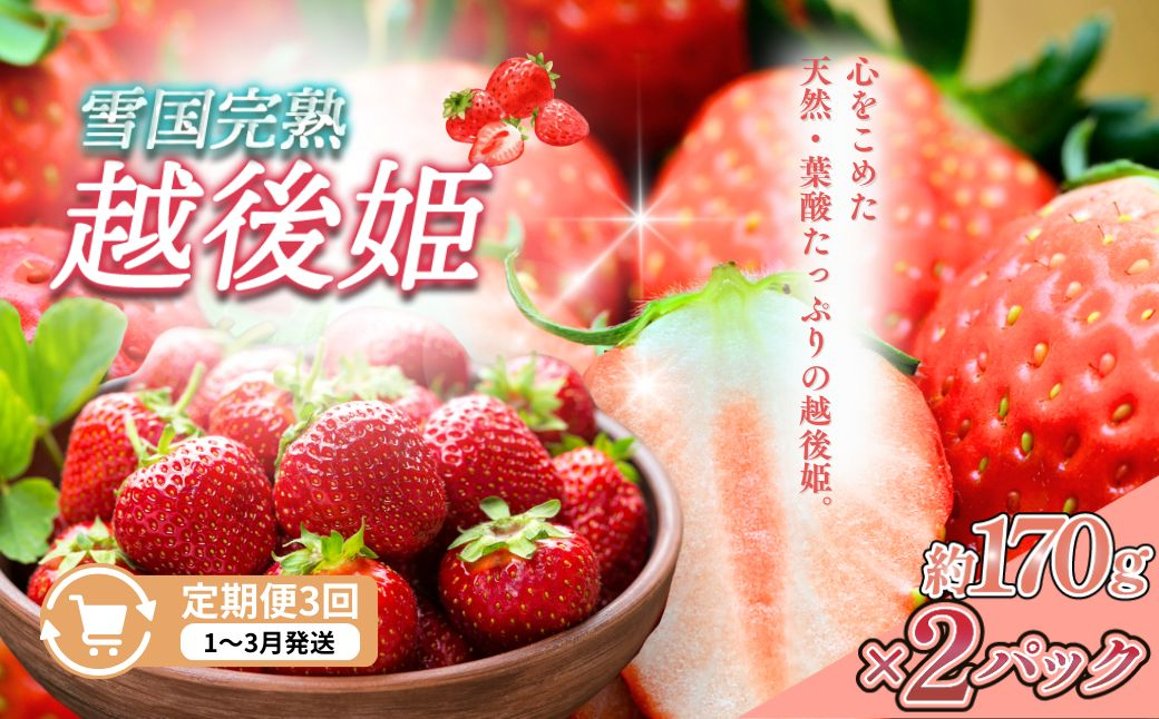 
                  先行予約  定期便 3回【1～3月発送】雪国完熟いちご越後姫 170g×2全3回 定期配送 越後姫 いちご 定期便 完熟 苺 新潟 苺の花ことば
                