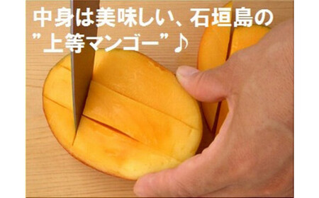 【予約受付】石垣島産 《訳あり・ご自宅用マンゴー》 約1kg エコ箱入り（2～4個入り）2025年6月中旬～順次発送 SI-29-2