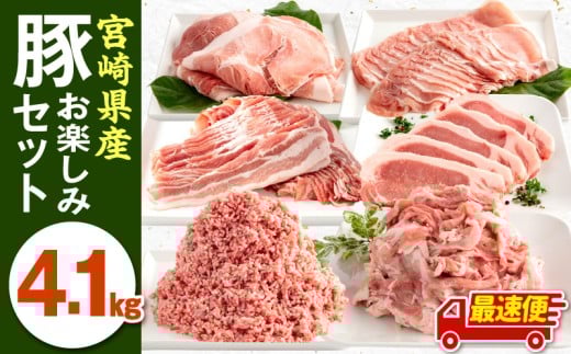 【最速便】宮崎県産豚お楽しみセット 計4.1kg_M241-002-2W