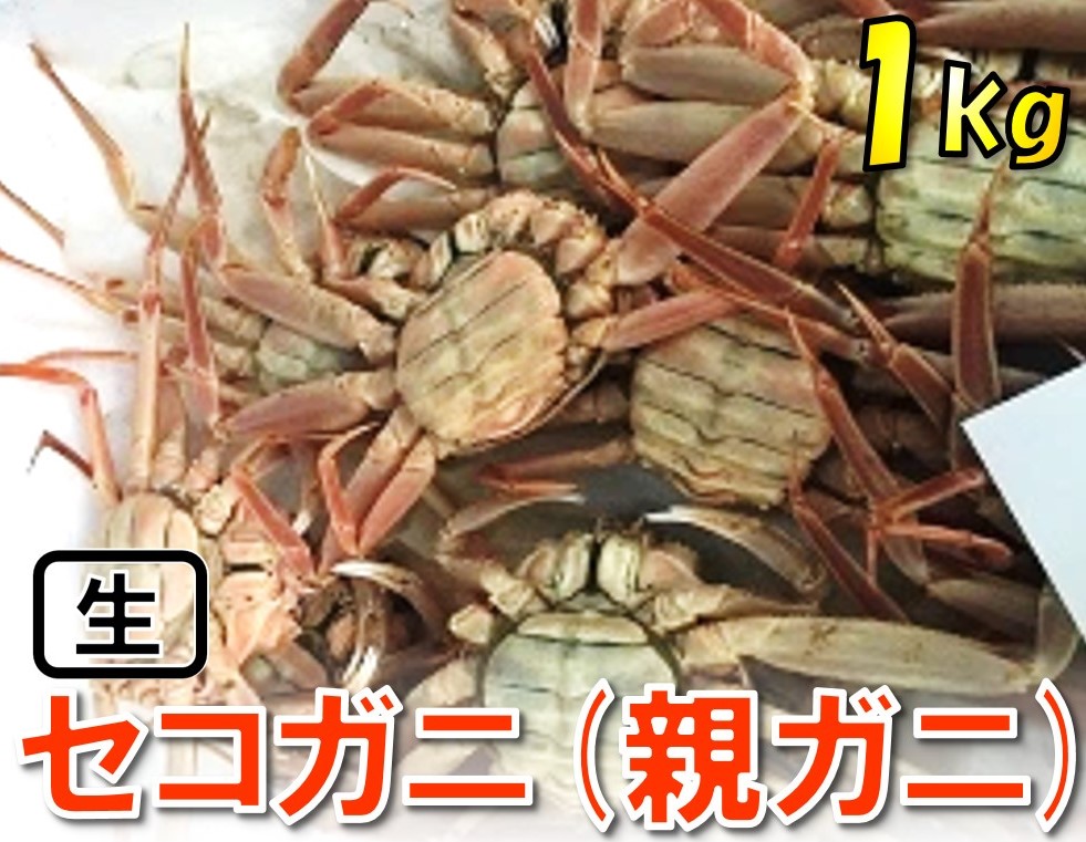 1118 【魚倉】活お任せセコガニ1kgセット