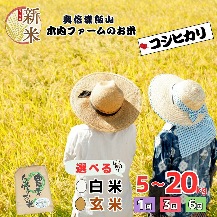 【ふるさと納税】＼ 令和7年産 コシヒカリ ／ 選べる ｜ 白米 玄米 ｜ 5kg 10kg 20kg ｜ 定期便 1回 3回 6回 ｜「奥信濃飯山～木内ファームのお米～」【長野県 飯山市 信州産 おいしい お米 新米 精米 ごはん ご飯 贈答用 贈答品 ギフト 産地直送 送料無料 こしひかり】