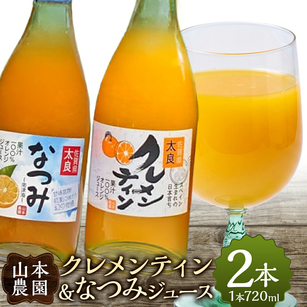 【ふるさと納税】山本農園のクレメンティン・なつみジュース(各1本)2本セット 太良みかん ヨーロッパ生まれ スペイン原産 クレメンティン なつみ ジュース みかんジュース ストレートジュース 温州 ミカン 希少 フルーツ くだもの 果物 ミネラル豊富 太良町 国産 OB7x1