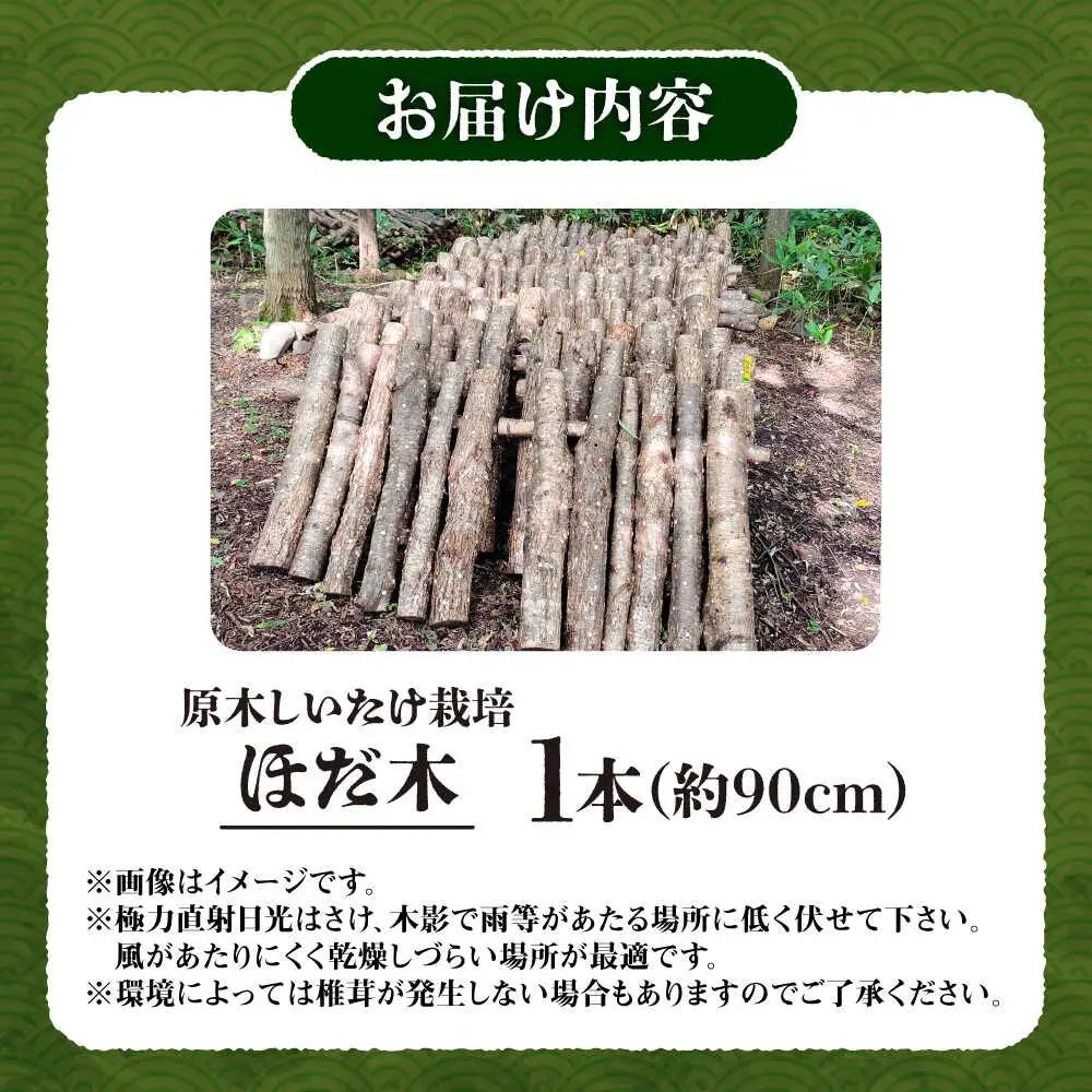 しいたけ 原木 しいたけ栽培 ほだ木1本 [BNAU003]