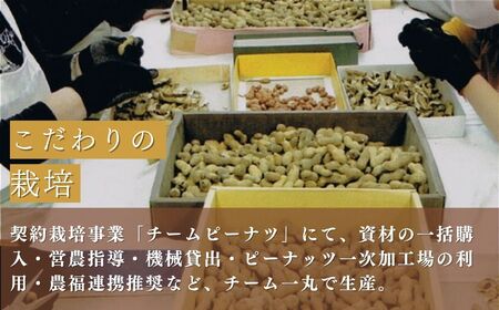 会津産手むき素焼きうまピー×10袋　【07208-0771】