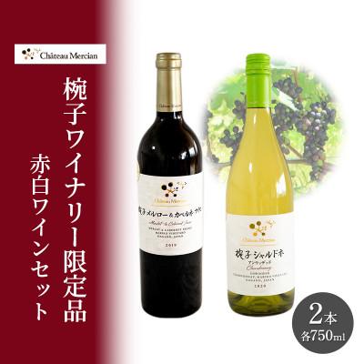 ふるさと納税 上田市 ワイン 飲み比べセット 750ml 2本セット 赤ワイン 白ワイン 赤白セット[54041118]
