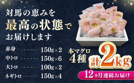 【全12回定期便】 対馬産 本マグロ 4種 計2kg（赤身/中トロ/大トロ/ネギトロ）《対馬市》【対海】 冷凍配送 大容量 新鮮 海鮮丼 手巻き寿司[WAH036]