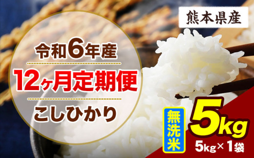 【12ヶ月定期便】令和6年産 定期便 こしひかり 5kg 無洗米 阿蘇 うぶやま 米 定期便 熊本県産 ふるさと納税 精米 ひの 米 こめ ふるさとのうぜい コシヒカリ コメ お米 おこめ《申込み翌月から出荷》