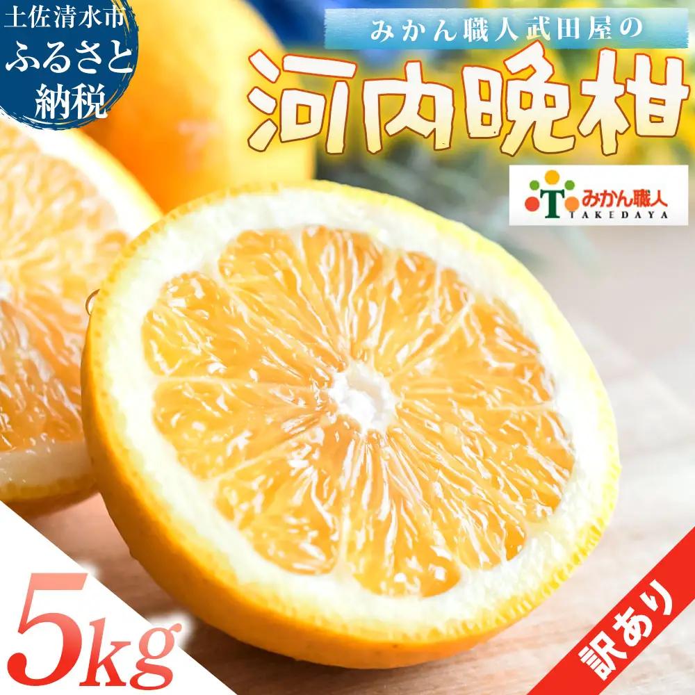 訳あり 河内晩柑 5kg みかん職人武田屋【R01616】