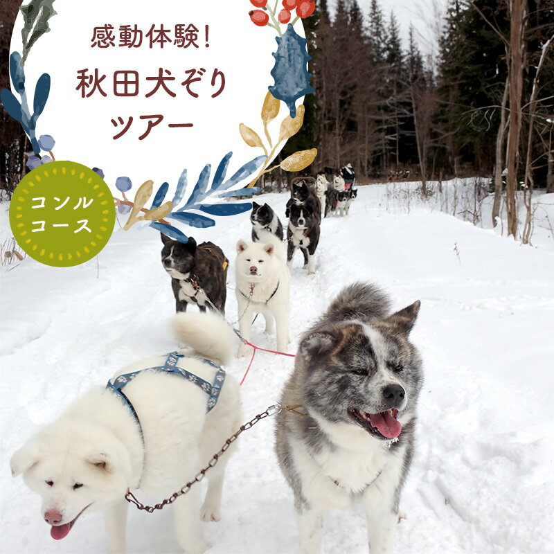 【ふるさと納税】秋田県の犬ぞり コンルコース ( ふるさと納税 体験 犬ぞり 体験チケット 北海道 遠軽町 ) en01-00208