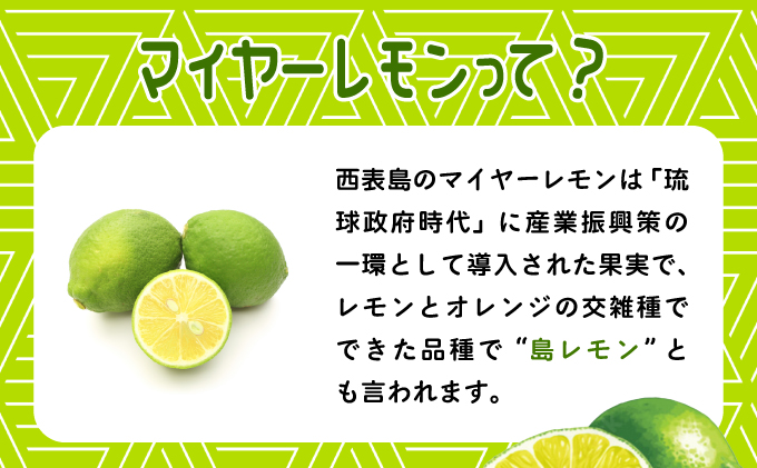 【2025年発送】まろやか多汁マイヤーレモン （島レモン）約2kg 2kg