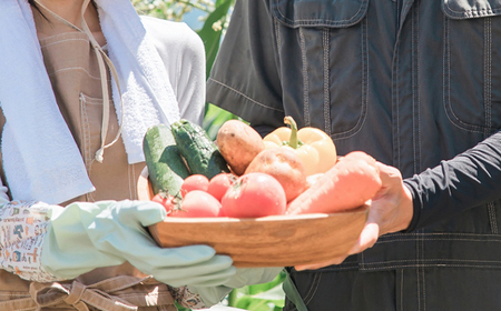 岩手県産 野菜セット 10品 3ヶ月 定期便 ／ 野菜 やさい 詰め合わせ 詰合せ 詰合わせ 旬 新鮮 国産 季節 季節野菜 おまかせ 春野菜 夏野菜 秋野菜 山菜 葉野菜 葉物 根菜 果菜 冷蔵 冷