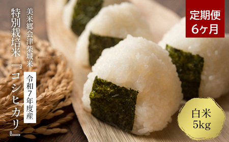 【先行予約】【定期便6ヶ月】令和7年産　美米郷会津柴城米　特別栽培米コシヒカリ　白米　5kg×6回　精米仕立て発送　ＧＡＰ認証農園産　【07208-0329-C】