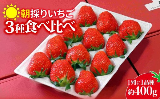 いちご 3種食べ比べ 400g 2026年全国いちご選手権入賞｜イチゴ 苺 高品質 たっぷり 新鮮 完熟 旬 ストロベリー 高級 産地直送 果汁 甘い あまい 人気 高評価 高糖度 ごほうび プレゼント 朝採れ やよいひめ ななか 恋みのり あまおとめ あすかルビー 贈答用 群馬県 前橋市