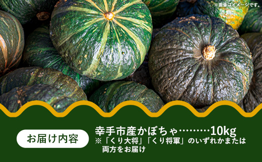 【きあり農園】2026年度 幸手市産 かぼちゃ 約10kg - カボチャ 南瓜 くり大将 くり将軍 産地直送 野菜 ベジタブル 美味しい おいしい 緑黄色野菜 大容量 国産 おすすめ 送料無料 埼玉県