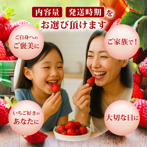 【2027年1月発送】 訳あり 福岡県産 あまおう 約285g×2P 約570g いちご 苺 イチゴ 期間限定 ULU