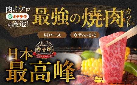 畜産農家応援! 宮崎牛焼肉2種セット250g×2パック+豚肉ハンバーグ100g×4個≪みやこんじょ快速便≫_13-N202-R-ESH_(都城市) 赤身 霜降り 食べ比べ 肩ロース ウデ モモ 焼き肉