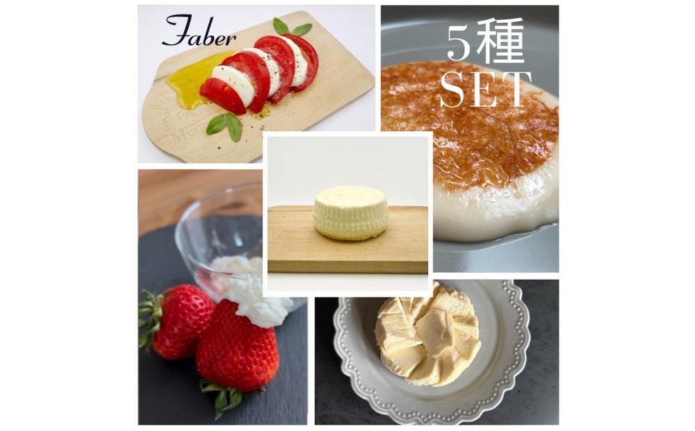 
                  ＜定期便3回＞【MOFコンテスト金賞受賞】ファーベル5種のチーズセット
                