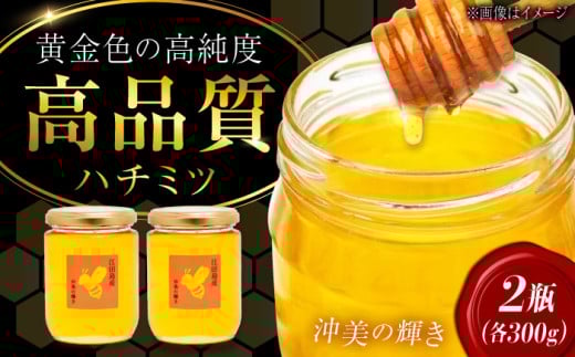 江田島産100％ はちみつ『沖美の輝き』300g×2本 ハチミツ 蜂蜜 国産 広島 江田島市/はつはな果蜂園 [XCD004] ハチミツ 国産蜂蜜 国産はちみつ 国産純粋はちみつ 蜜 蜂蜜 はちみつ ハニー honey 人気ハチミツ 日本蜜蜂 純粋はちみつ 常温 保存 備蓄 防災食 非常食 保存食 産地直送 国産
