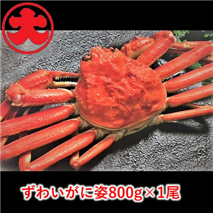 【ふるさと納税】ずわいがに姿 選べる1尾〜4尾 楚蟹 カニ 蟹 北海道 根室市