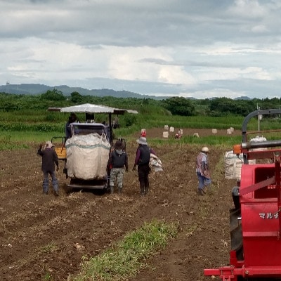 本格芋焼酎【明治の正中(しょうちゅう)】復刻版 どんぶり仕込み 1800ml B2-16【配送不可地域：離島】【1717763】
