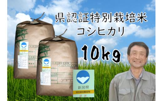 【令和7年産新米】特別栽培米 コシヒカリ 10kg  新潟県認証 1G02041