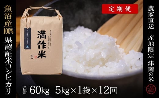 【 定期便 12ヶ月 】 米 5kg × 12回 令和7年産 魚沼産 コシヒカリ 特別栽培米 県認証 | BLコシヒカリ こしひかり お米 おこめ コメ おすすめ 人気白米 精米 新潟県 津南町