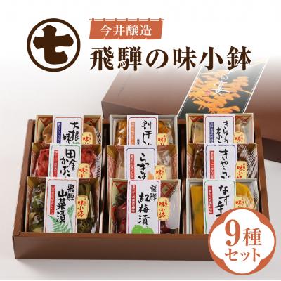 ふるさと納税 下呂市 飛騨の味小鉢セット(9種類のお漬物やお惣菜の詰合せ)【3-3】