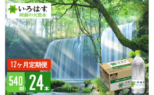 【学びやの里】12回 定期便 い・ろ・は・す 阿蘇の天然水 540ml 24本 1ケース 12ヶ月 計288本 いろはす ILOHAS ナチュラルミネラルウォーター 国内ミネラルウォーター 九州 熊本県 阿蘇 天然水 ミネラルウォーター