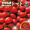 【ふるさと納税】 ※発送月が選べる※【訳あり】宮崎県産ミニトマト 潤いミネラルトマト「リッチスイート」3kg ミニトマト 九州産 川南町産 野菜 ヘルシー 送料無料 D07202