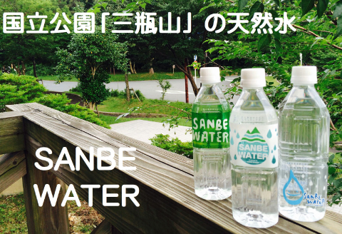 非常食になるおいしいハンバーグと三瓶山の天然水セット【レトルト ハンバーグ 180g 固形量 120g 8個 天然水 500ml 6本 手作り デミグラスソース 水 ペットボトル 長期保存 セット】